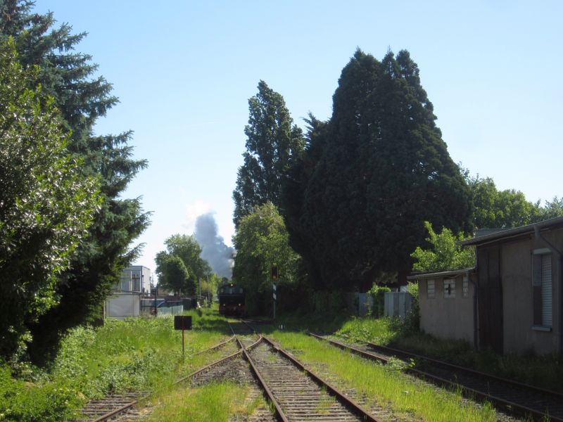 Schluff02.JPG