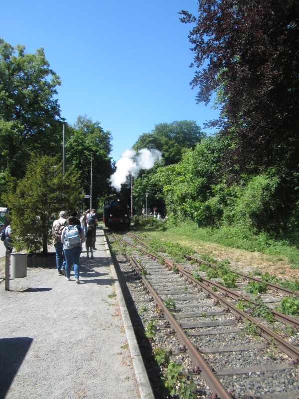 Schluff09.JPG