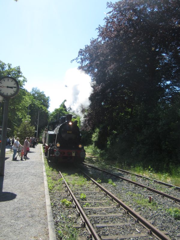 Schluff11.JPG