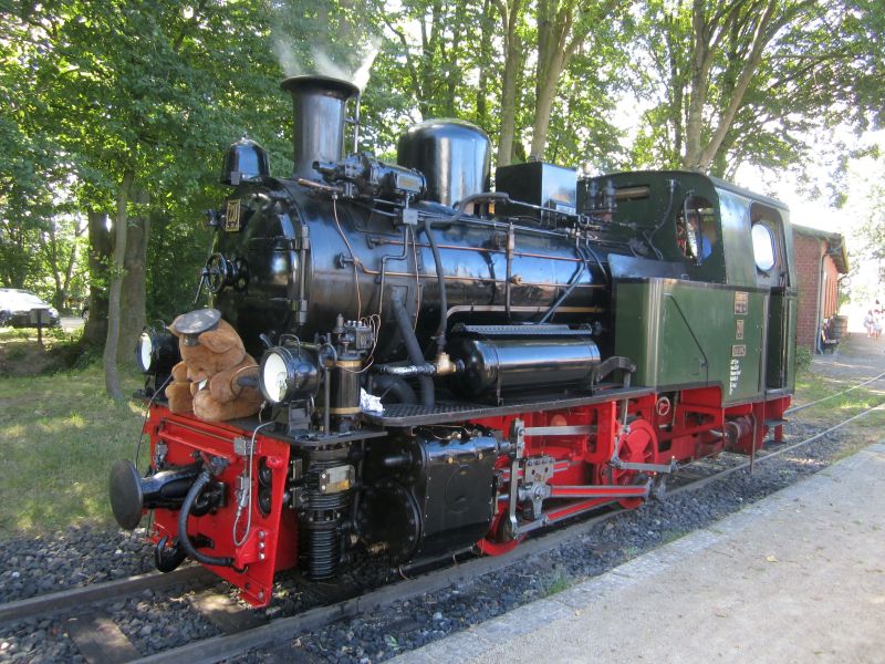 Teddy11.JPG