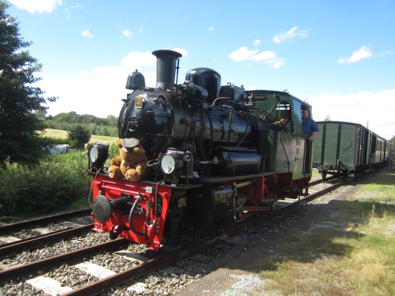 Teddy17.JPG