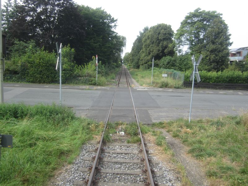 HSW10.JPG