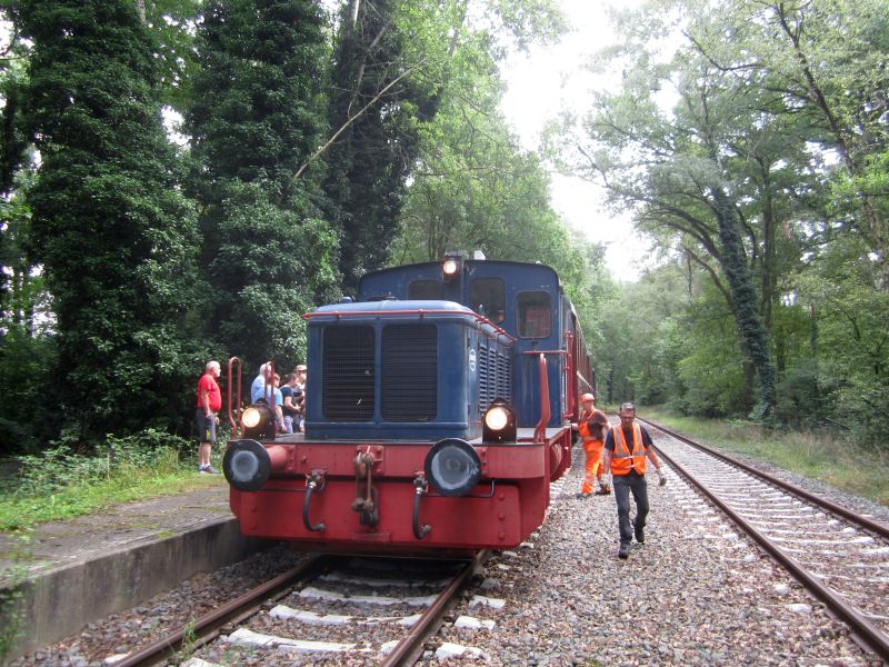 HSW23.JPG
