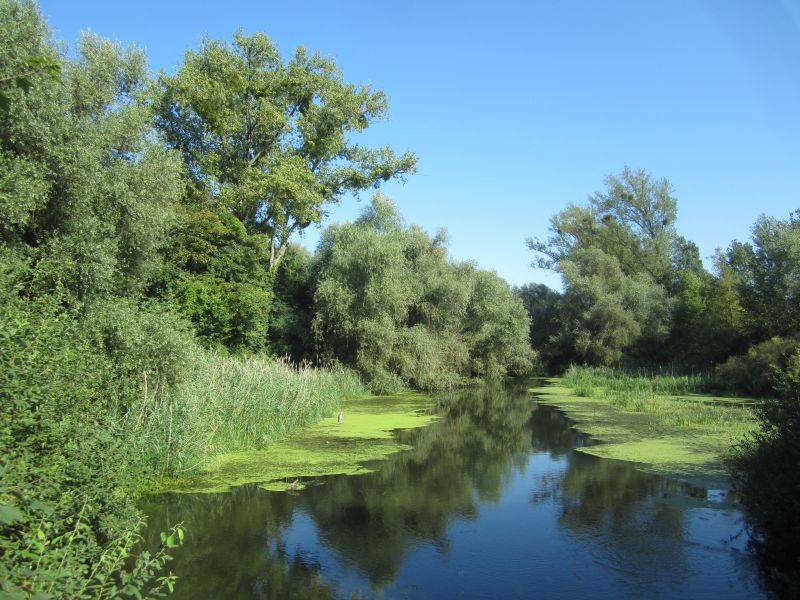 Treidlerweg02.JPG