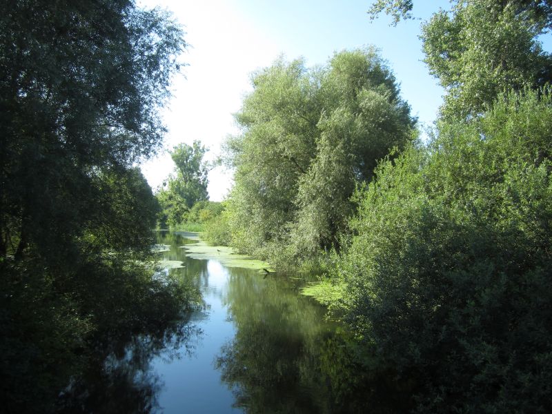 Treidlerweg03.JPG