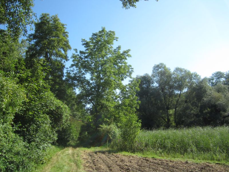 Treidlerweg04.JPG