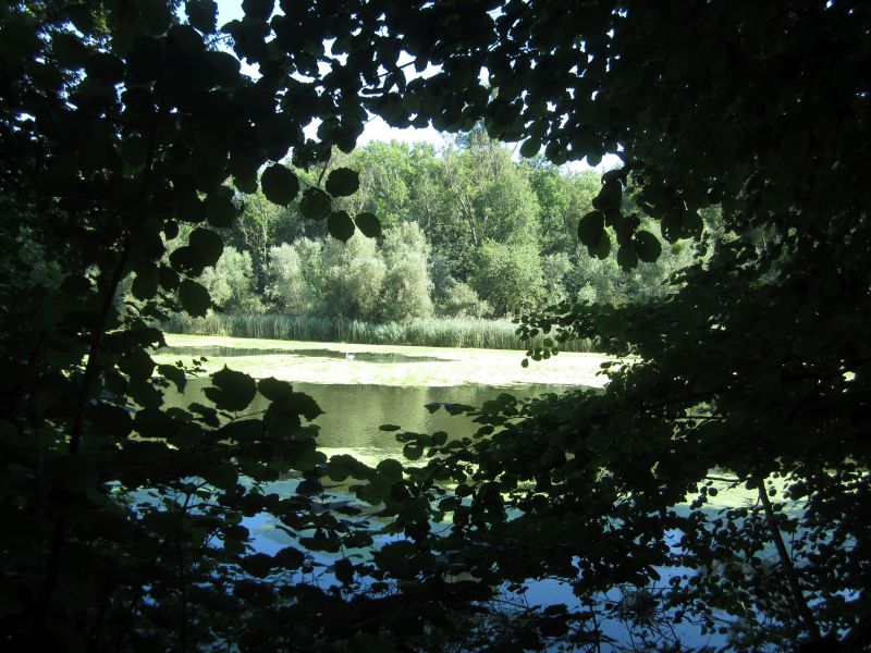 Treidlerweg07.JPG
