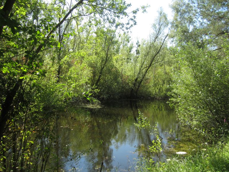 Treidlerweg09.JPG