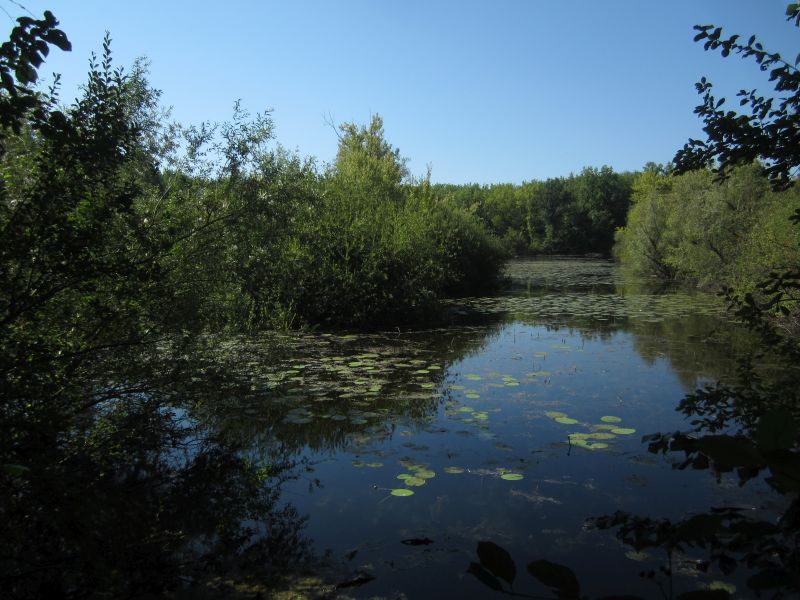Treidlerweg10.JPG
