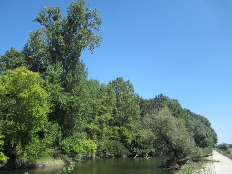 Treidlerweg19.JPG