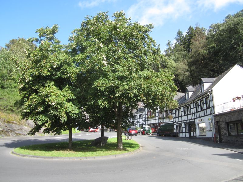 Monschau037.JPG