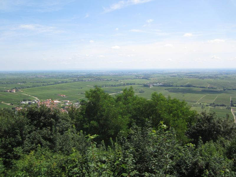 RP014.JPG