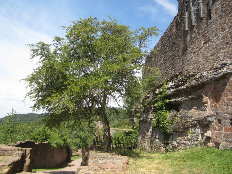 RP016.JPG