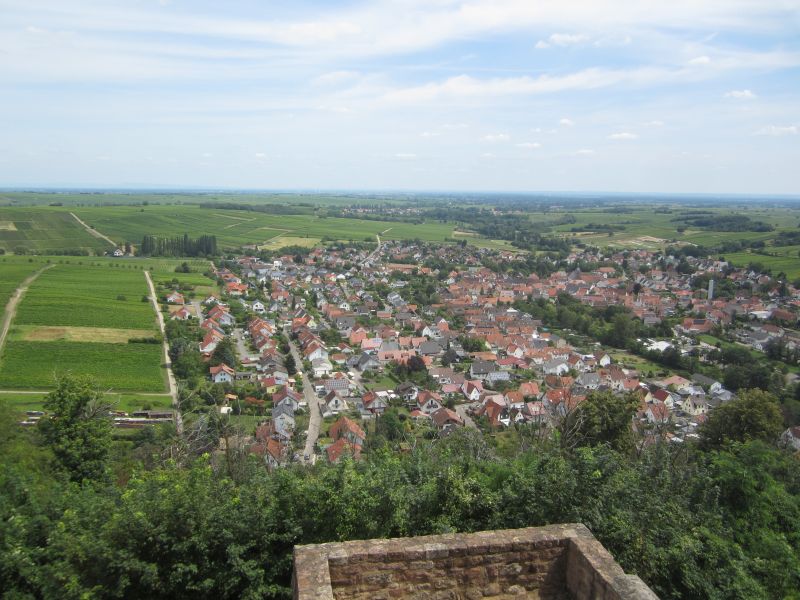 RP020.JPG