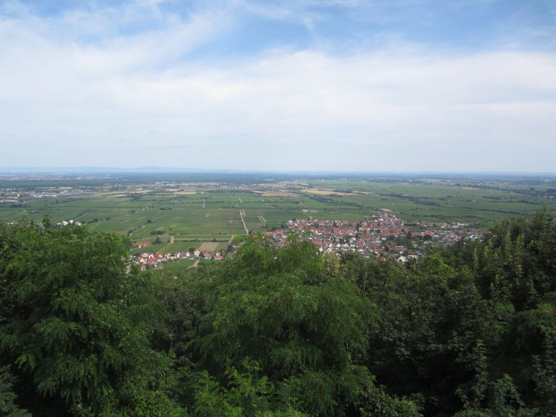 RP042.JPG
