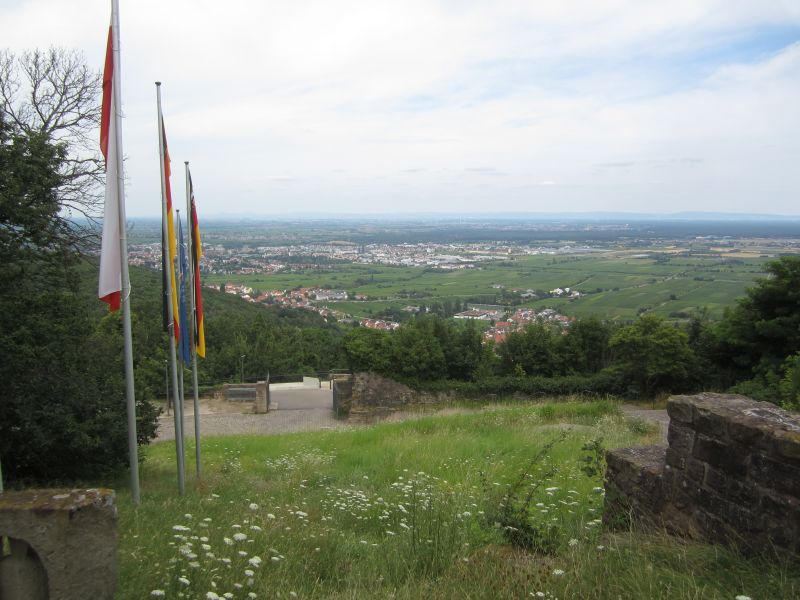 RP048.JPG
