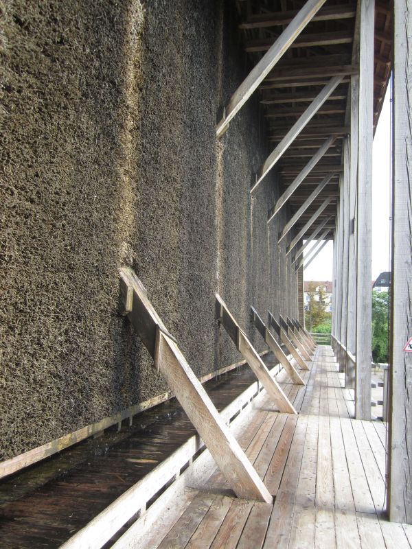 RP070.JPG