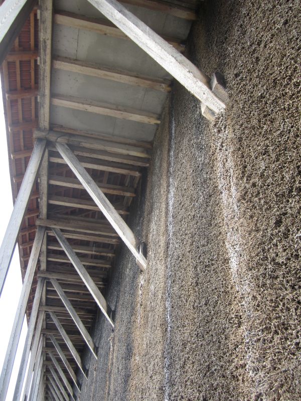 RP072.JPG