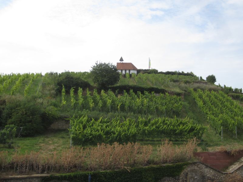 RP075.JPG