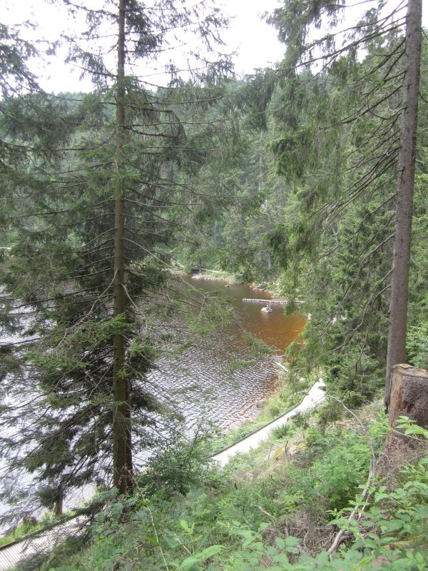 SW017.JPG