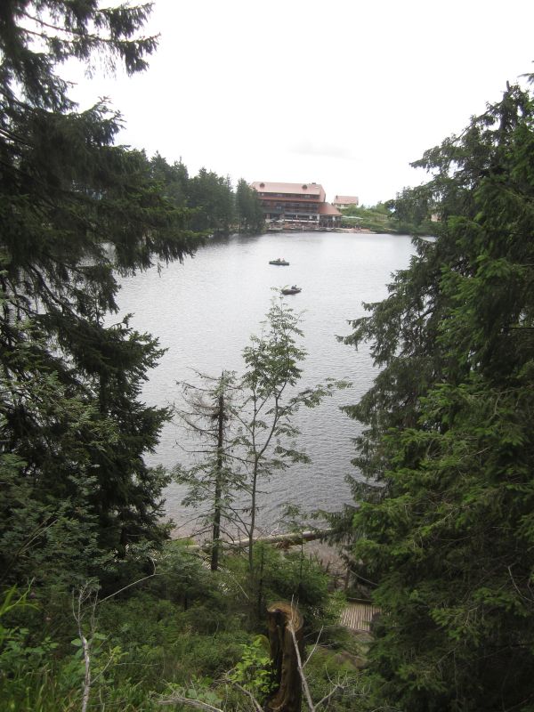 SW019.JPG