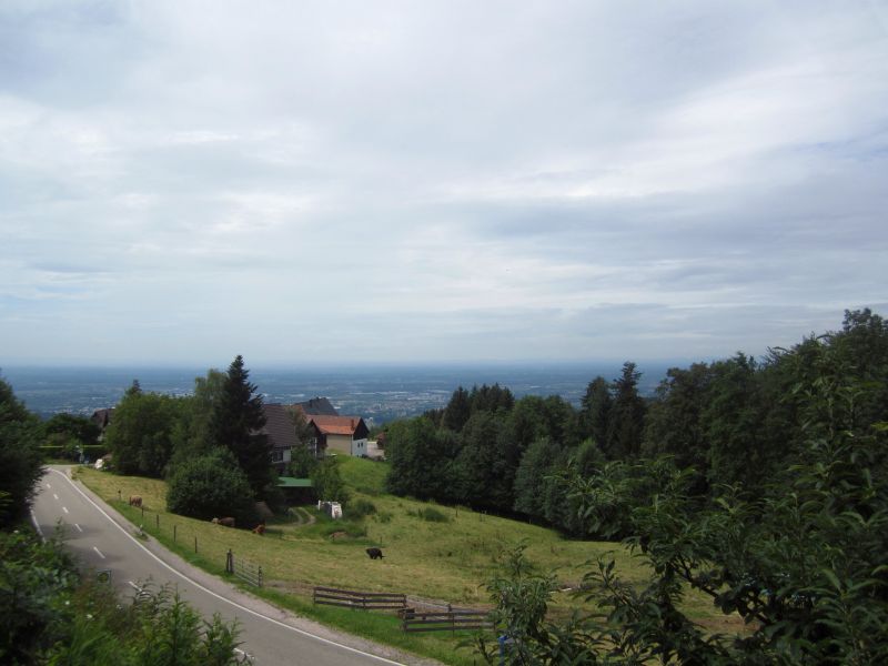 SW030.JPG