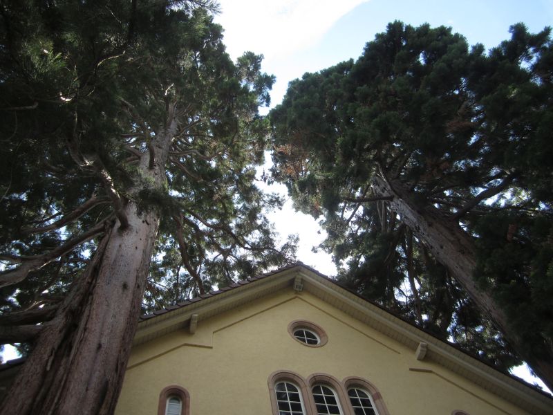 SW049.JPG