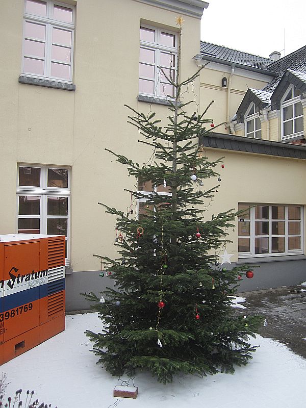Weihnachtsbaum1.jpg