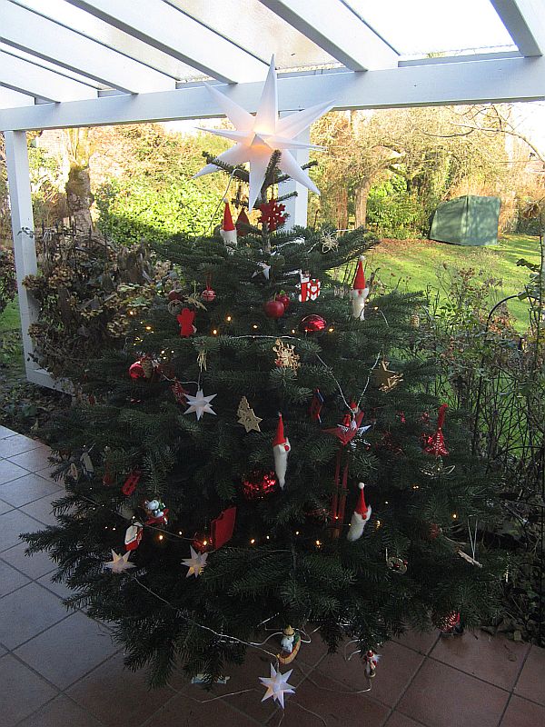 Weihnachtsbaum2.jpg