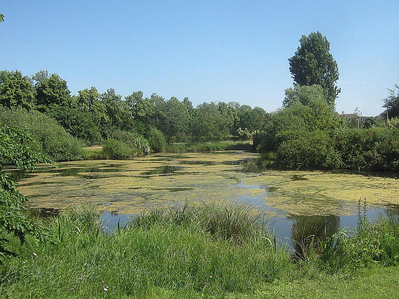 Fruehling25.jpg