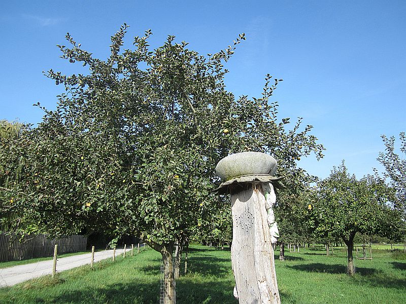 Herbst04.jpg