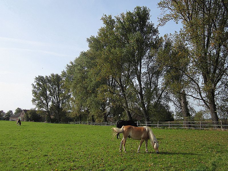 Herbst05.jpg