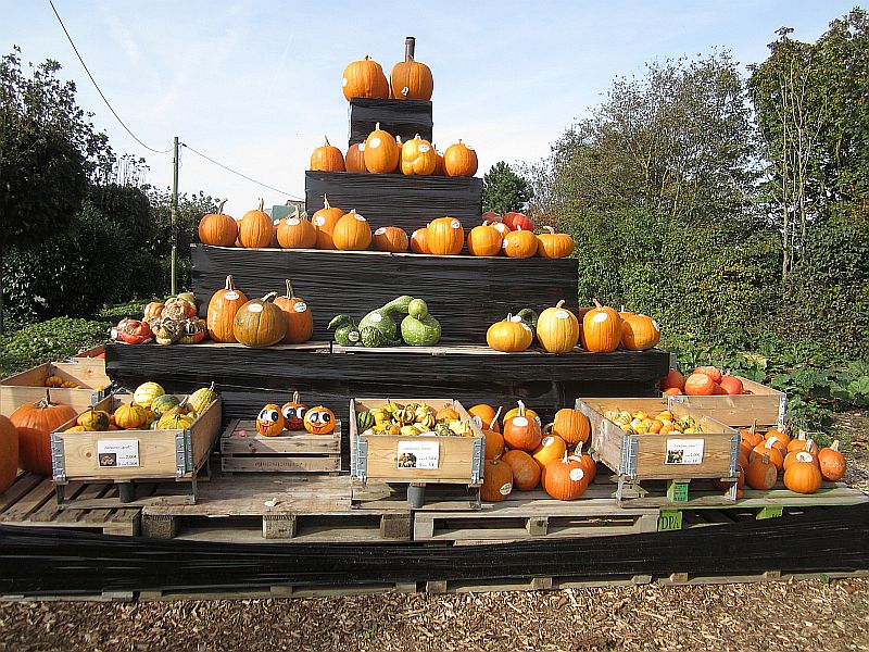 Herbst07.jpg