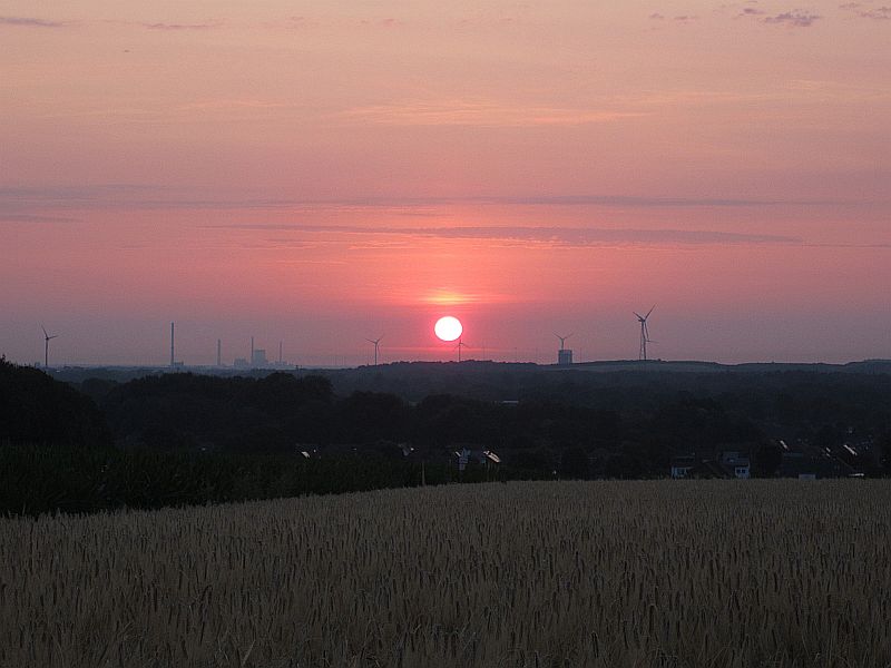 Sommer05.jpg