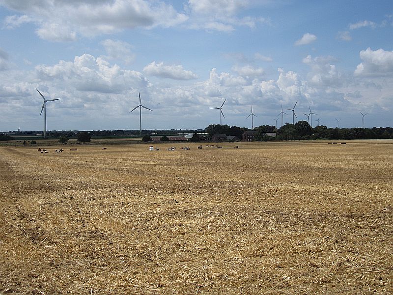 Sommer06.jpg