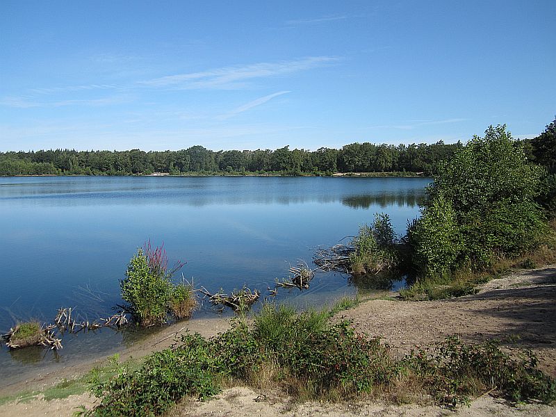 Sommer08.jpg