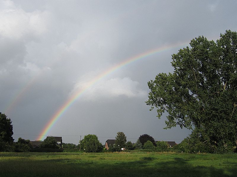 Sommer11.jpg