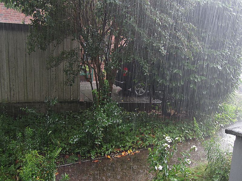 Sommer13.jpg