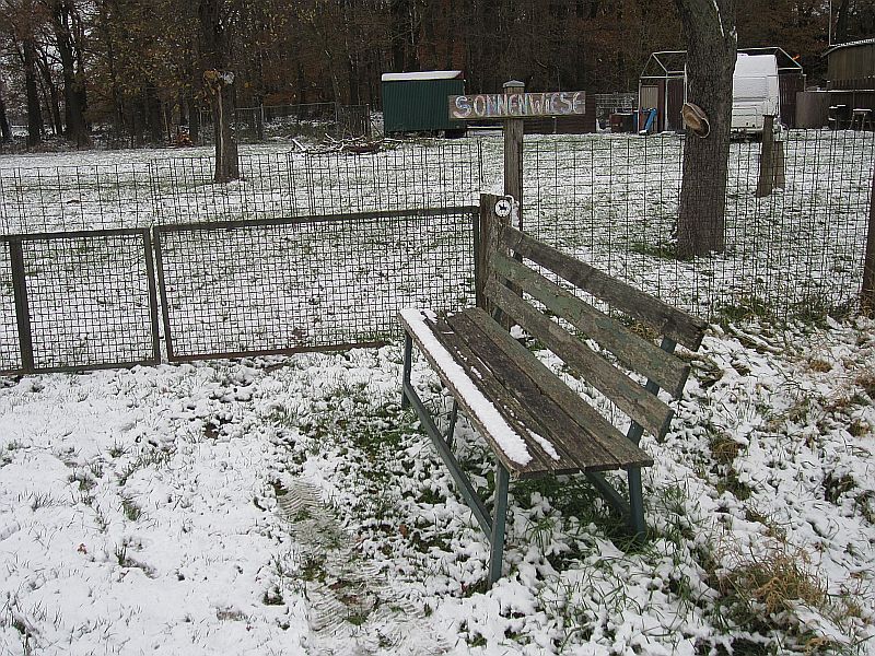 Winter11.jpg