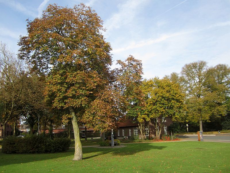 Herbst07.jpg