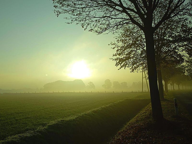 Herbst12.jpg