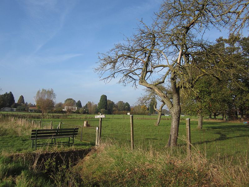 Herbst13.jpg