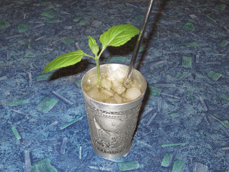 MintJulep1.jpg