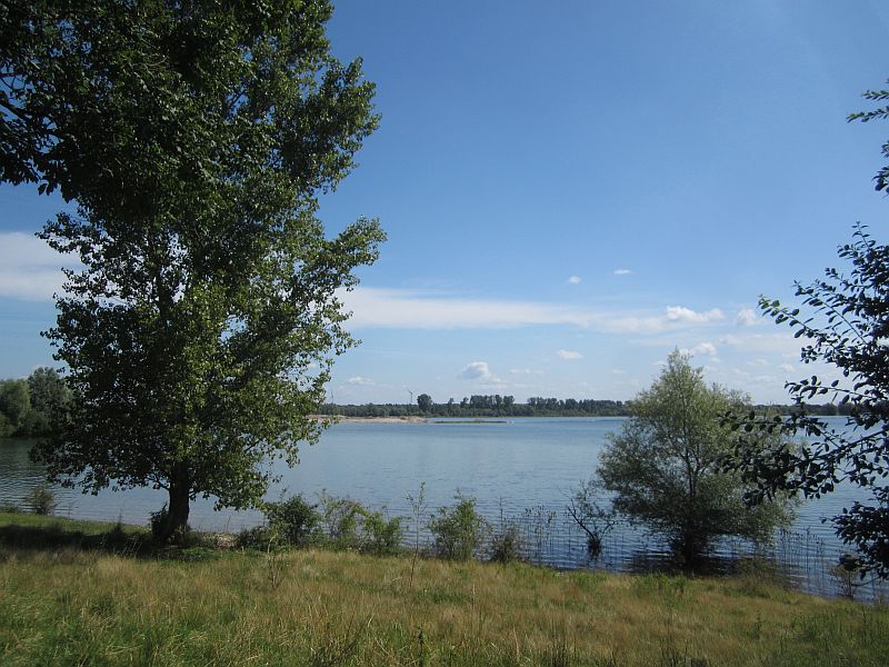Sommer11.jpg