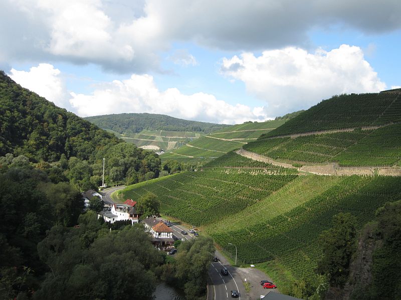Wein1.jpg