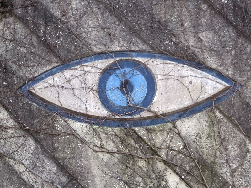 Auge1.jpg