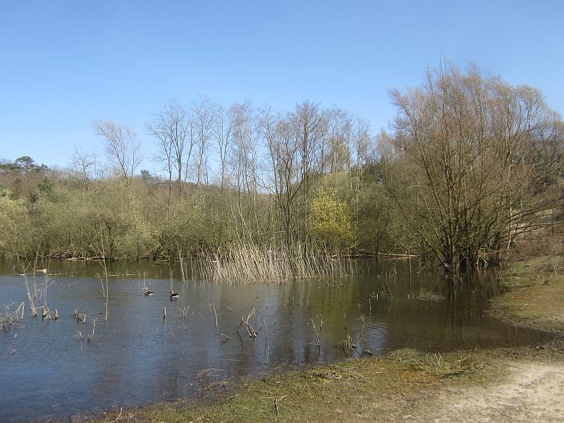 Fruehling01.jpg