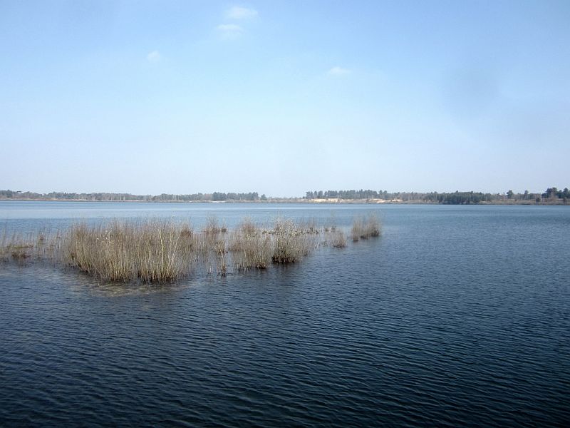 Fruehling03.jpg
