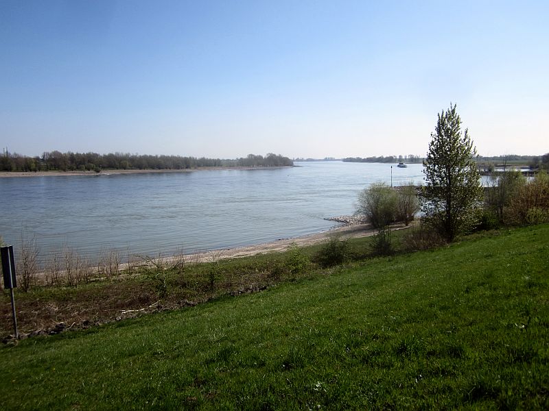 Fruehling06.JPG