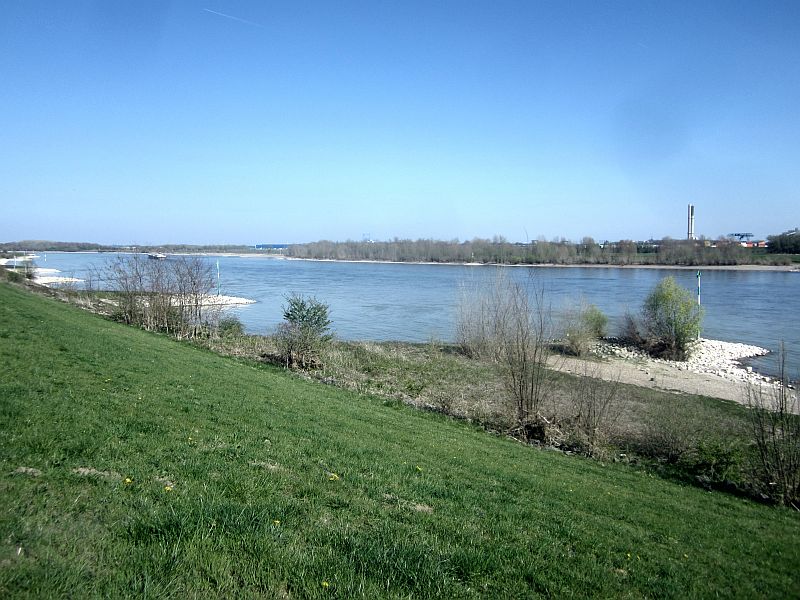 Fruehling07.JPG
